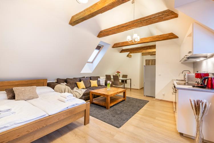 Selinor Apartments | Prague | 16