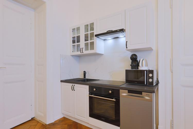 Selinor Apartments | Praha | 5